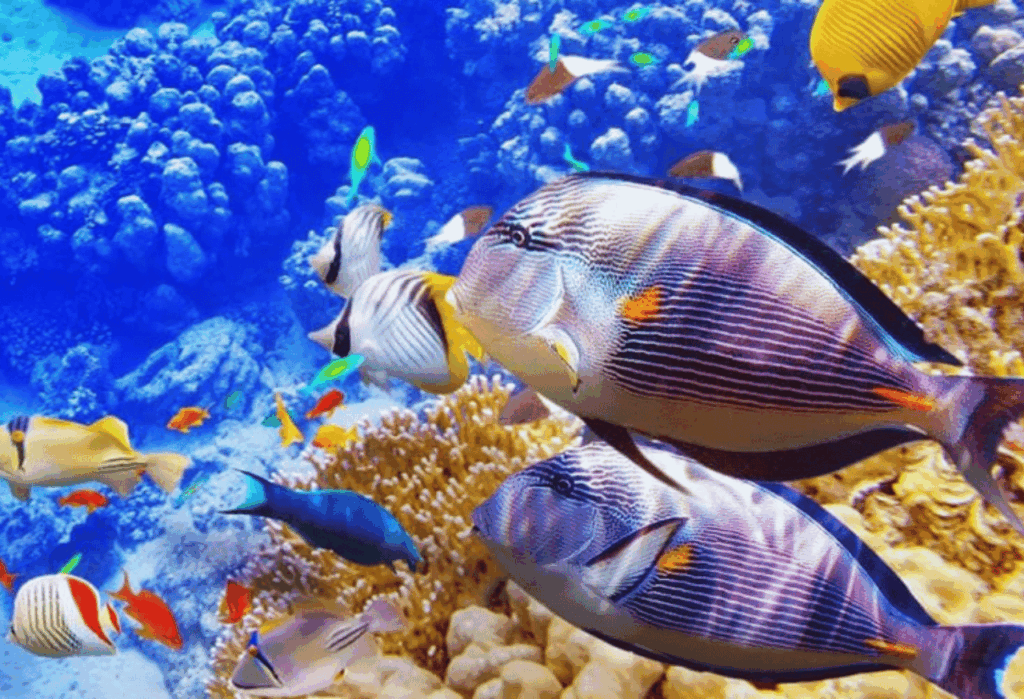 Biodiversitas dan Spesies Dilindungi