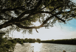 Kepulauan Seribu Upaya Konservasi Taman Nasional