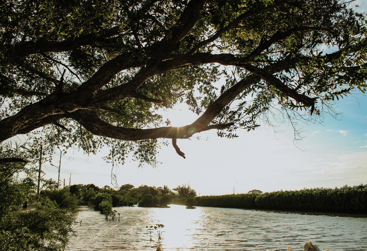 Kepulauan Seribu Upaya Konservasi Taman Nasional