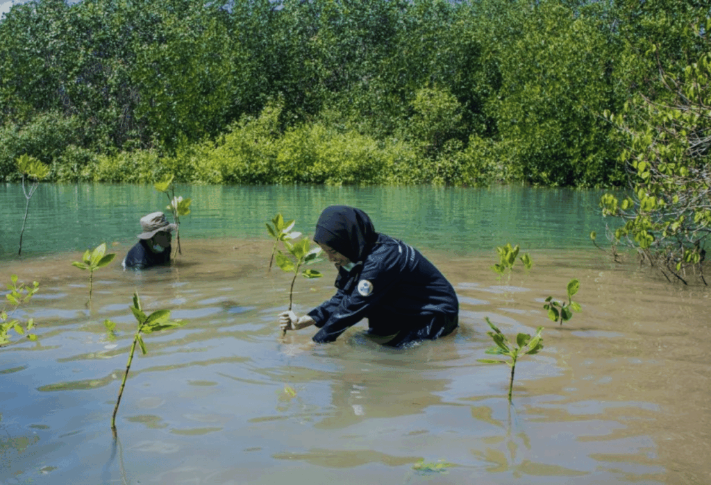 Mengenal Taman Nasional Kepulauan Seribu