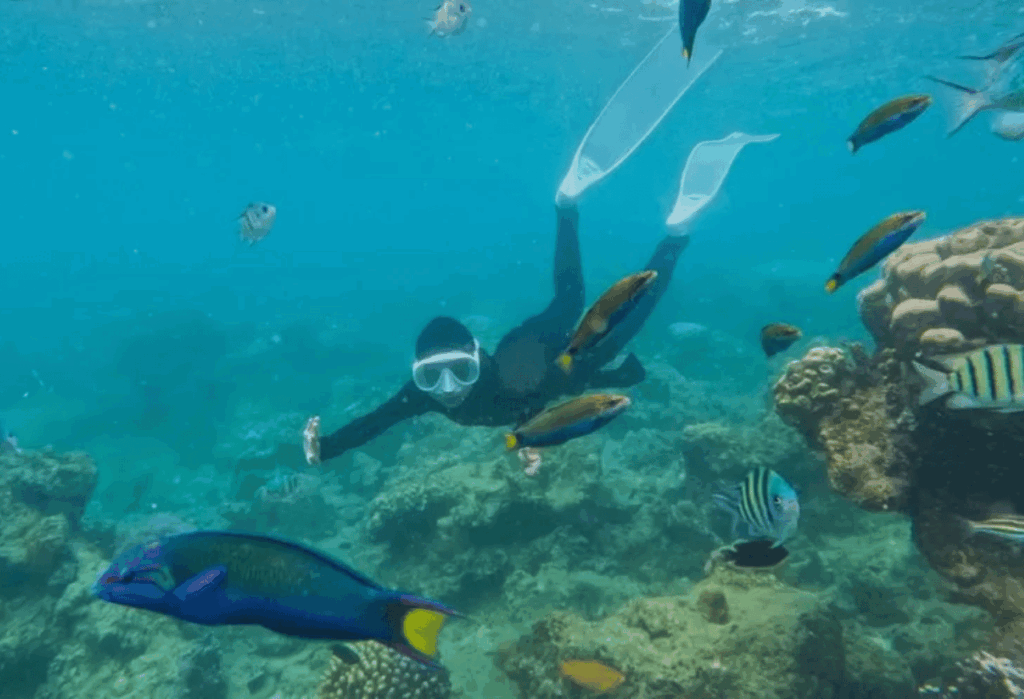 Pesona Wisata yang Menginspirasi di Tengah Konservasi