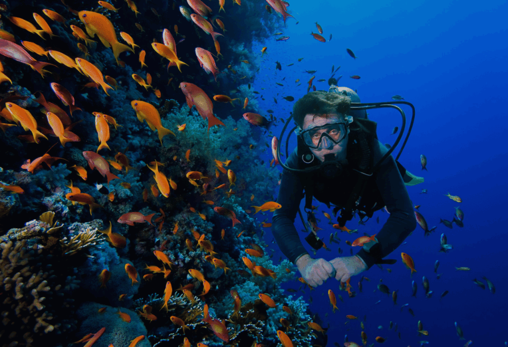 Potensi Wisata dan Aktivitas