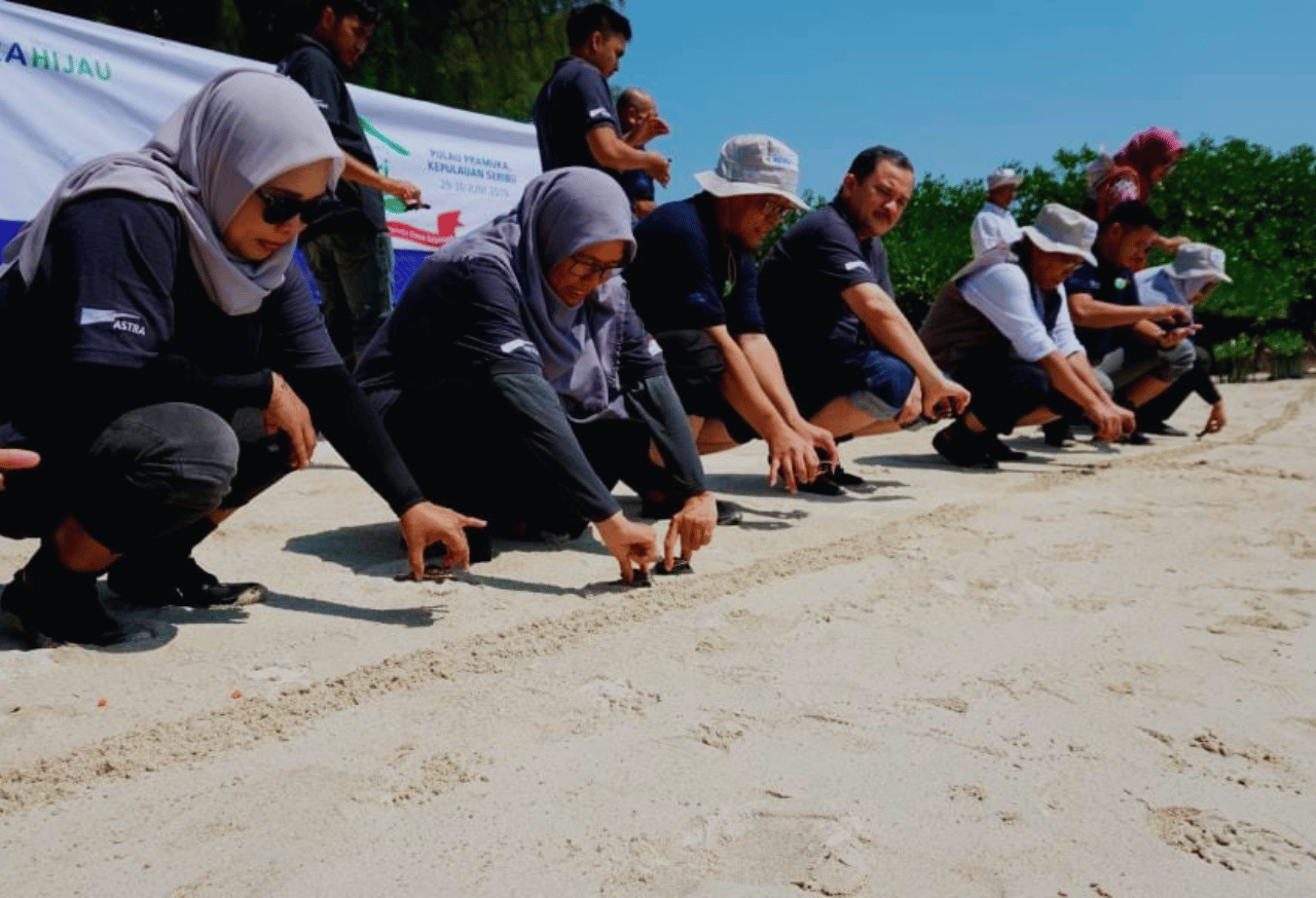 Program Pelepasliaran Tukik Penyu Sisik