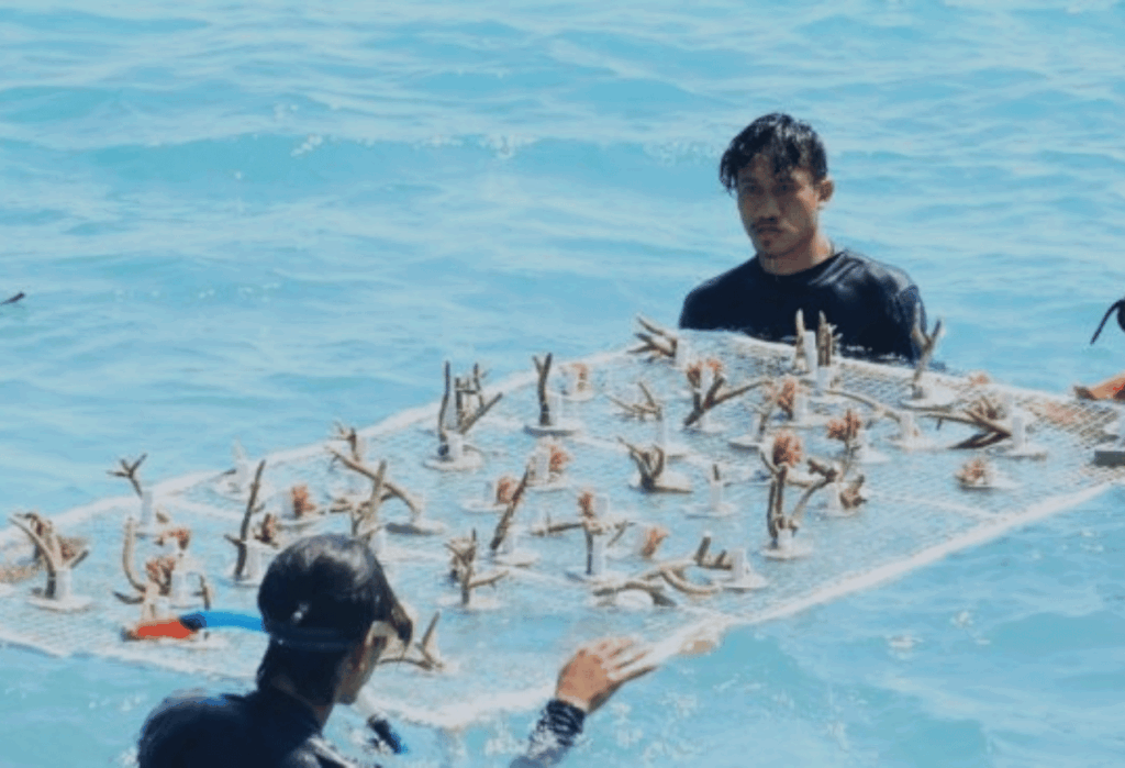 Tiga Pilar Konservasi