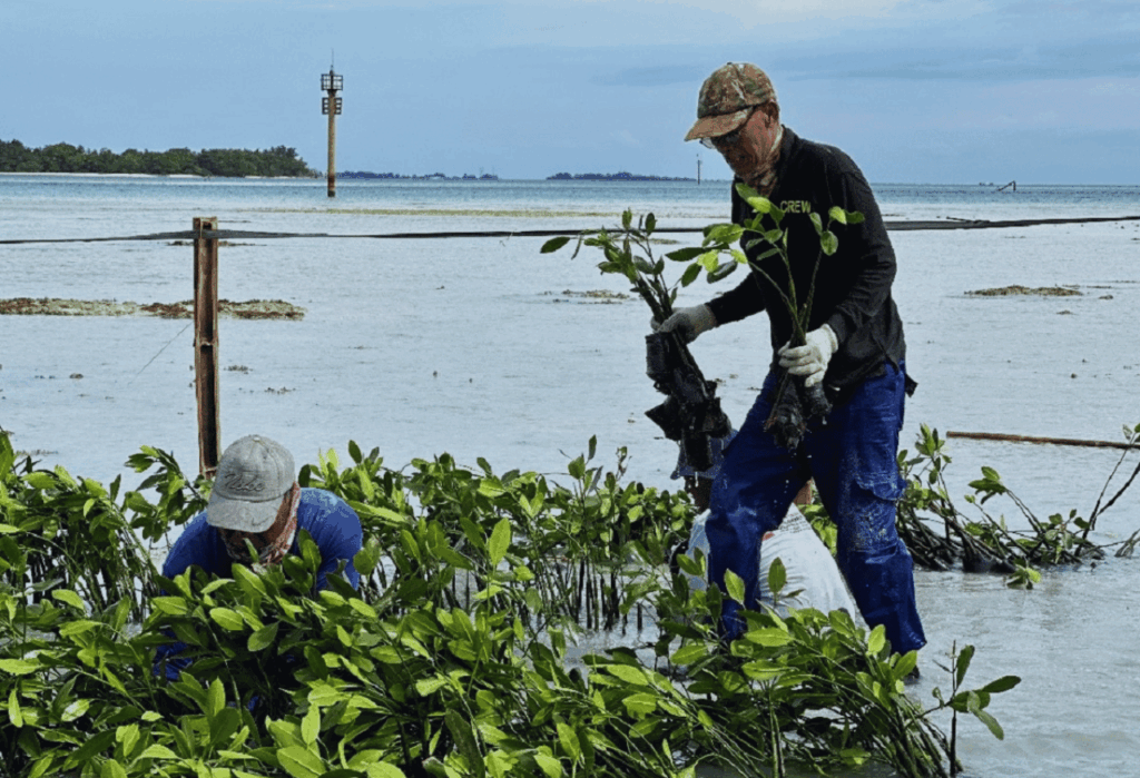 Upaya Konservasi yang Dilakukan